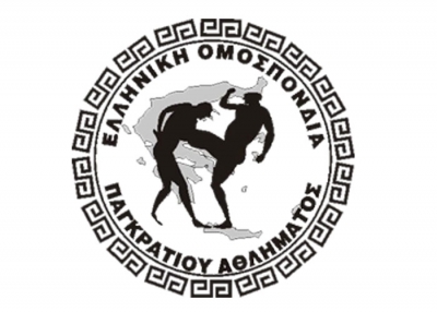 &Epsilon;&Theta;&Nu;&Iota;&Kappa;&Eta; &Omicron;&Mu;&Alpha;&Delta;&Alpha; &Alpha;&Gamma;&Omega;&Nu; &Kappa;&Alpha;&Iota; &Pi;&Lambda;&Eta;&Rho;&Eta; &Alpha;&Gamma;&Omega;&Nu; 2013